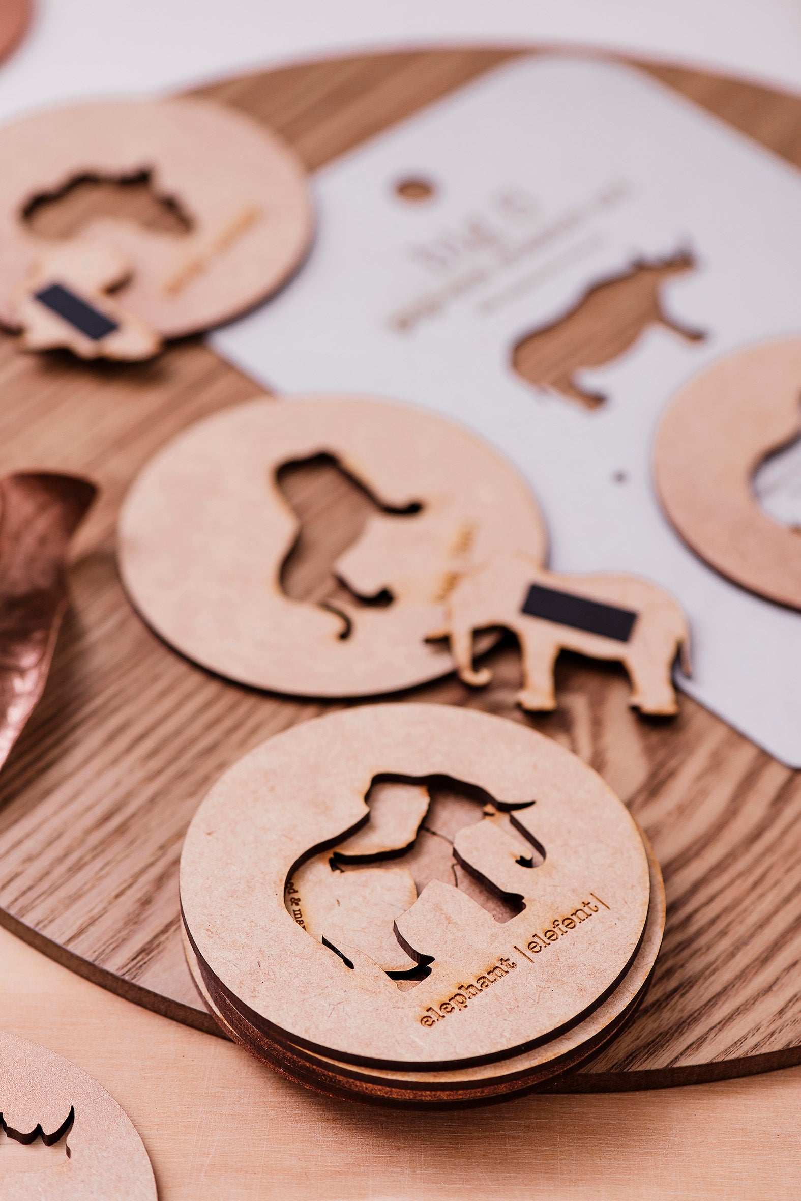 coaster big 5 (set of 6)
