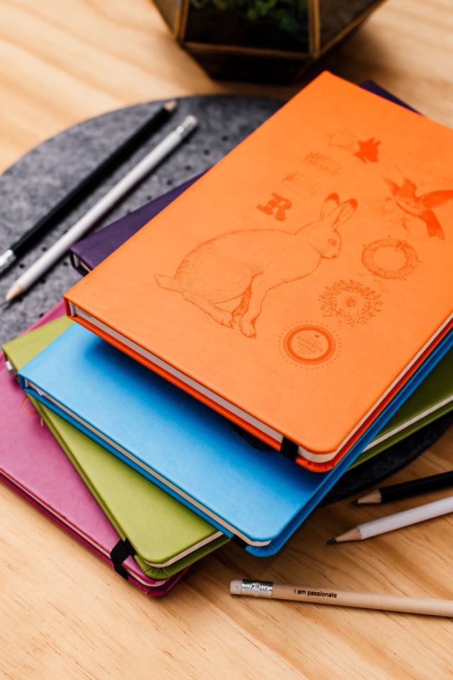notebook colourful