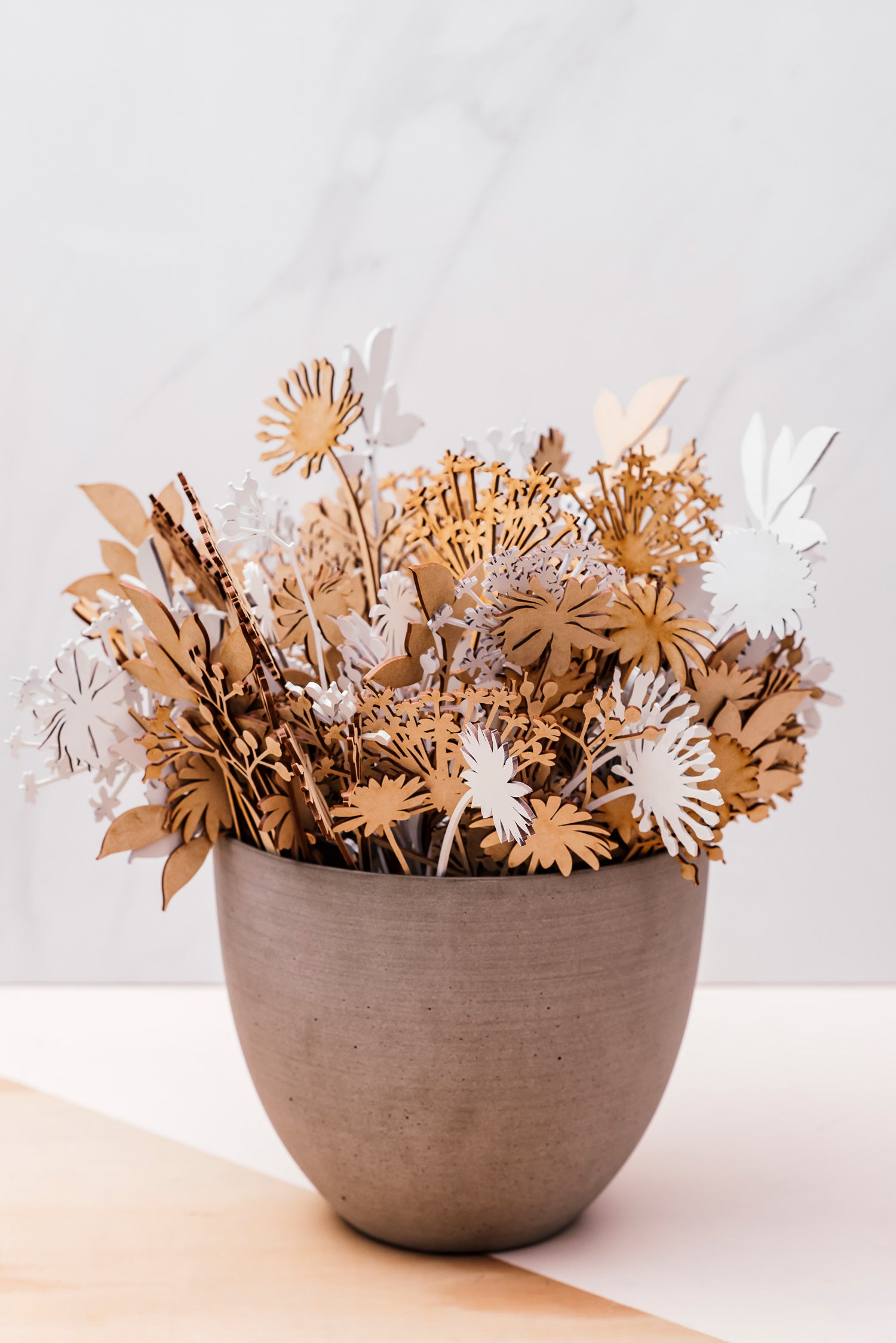 novalite flowers
